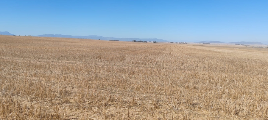 To Let 0 Bedroom Property for Rent in Hopefield Rural Western Cape